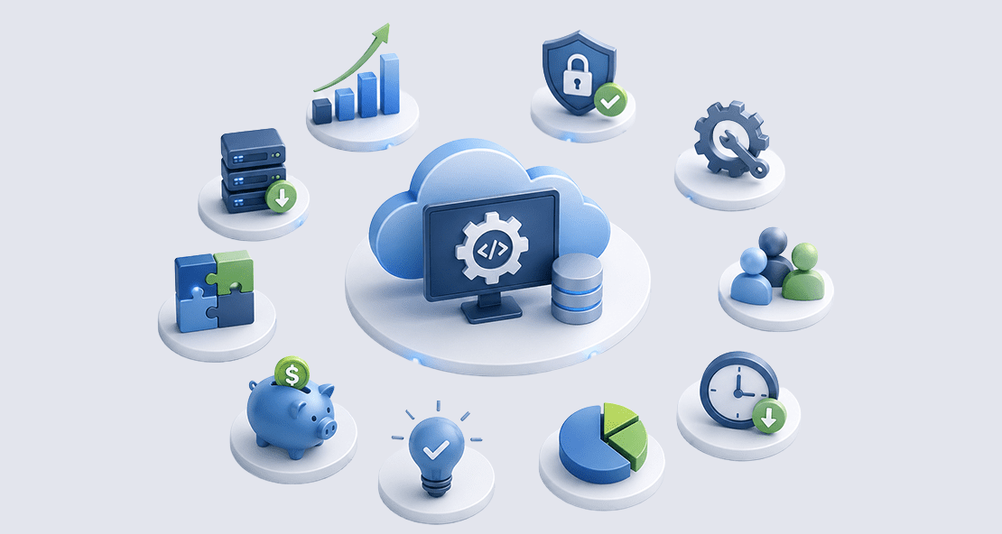 how to reduce IT costs using custom software